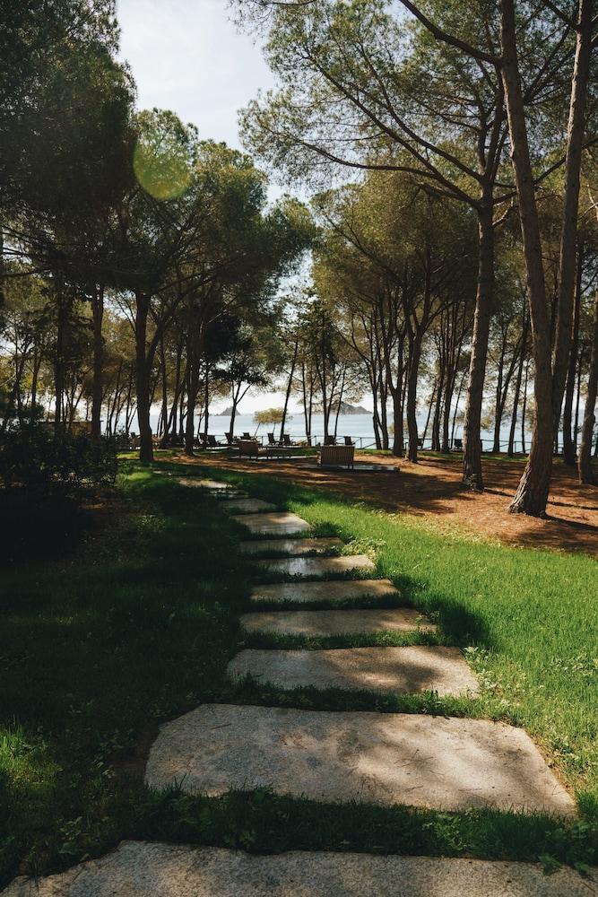 surroundings