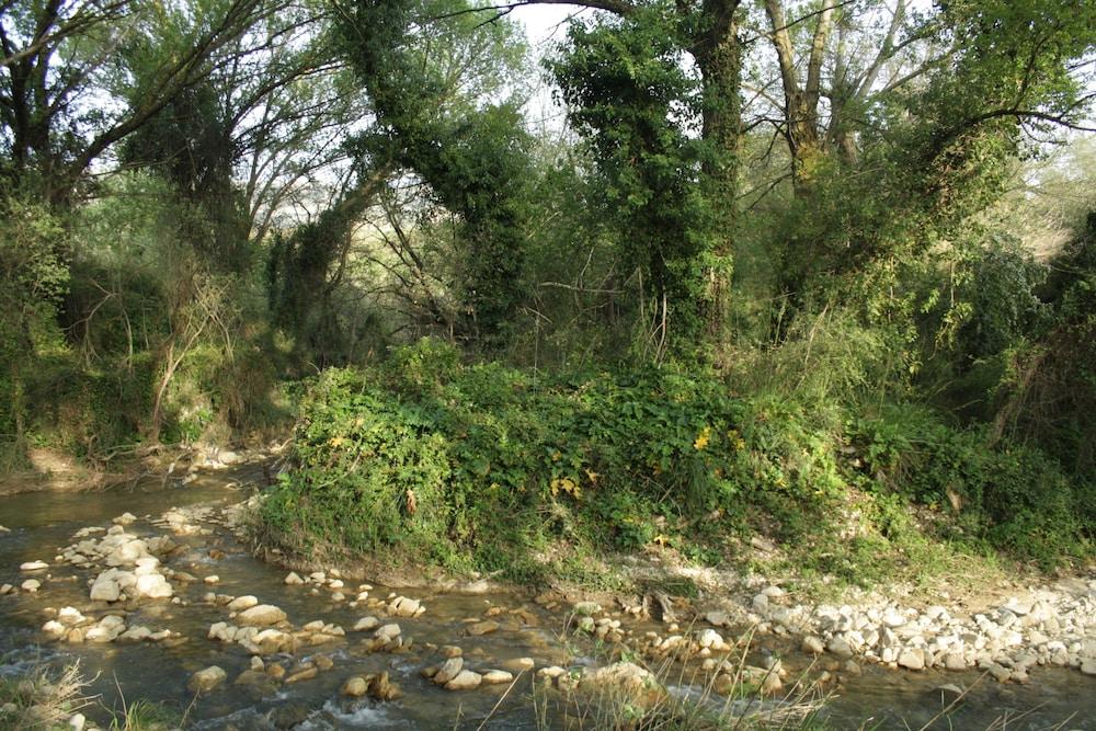 surroundings