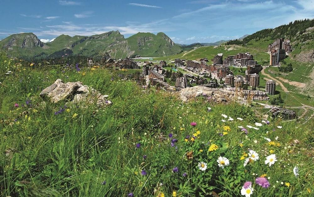 surroundings