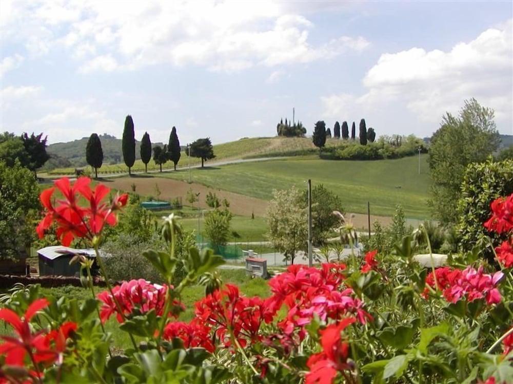 surroundings