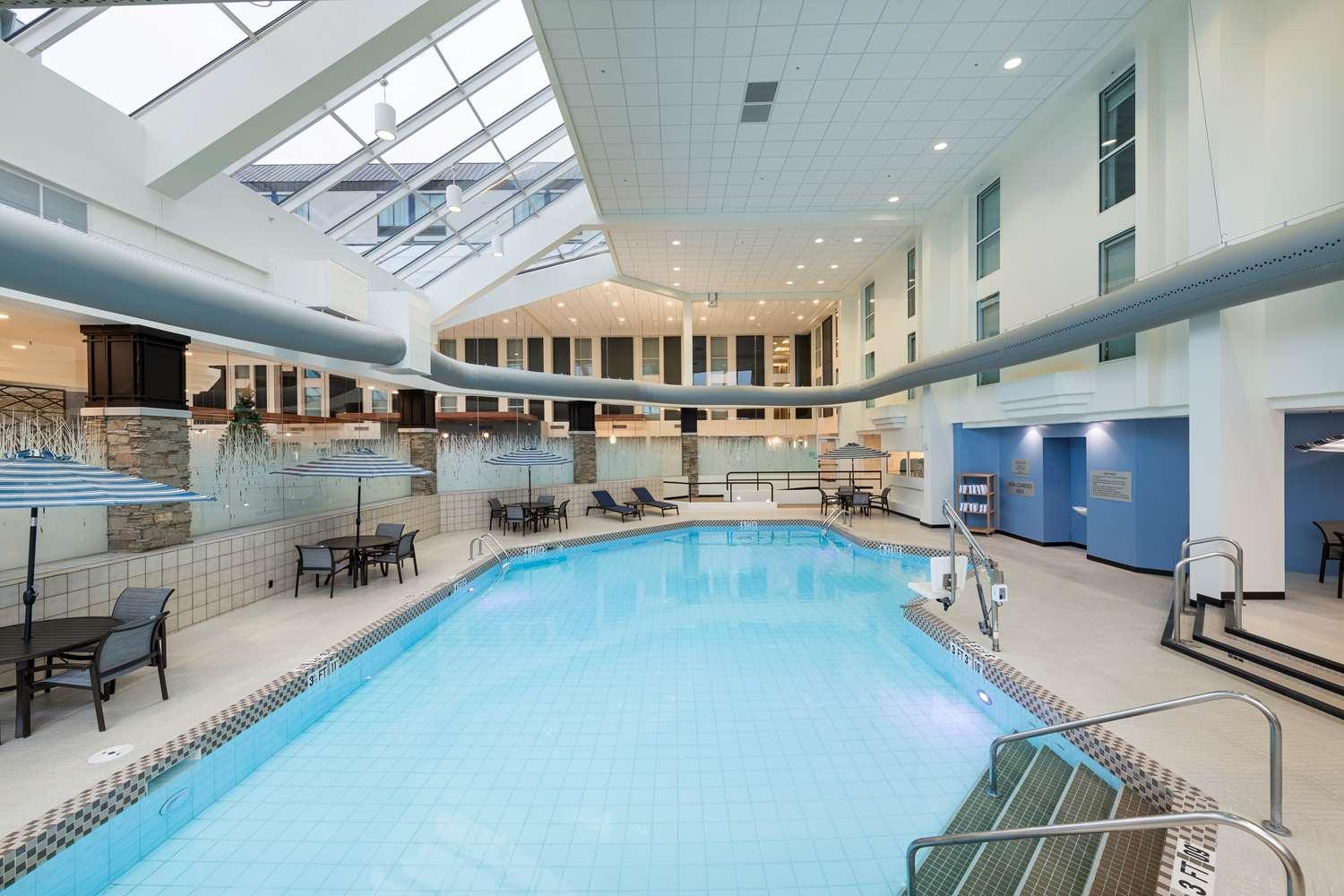 swimming pool spa