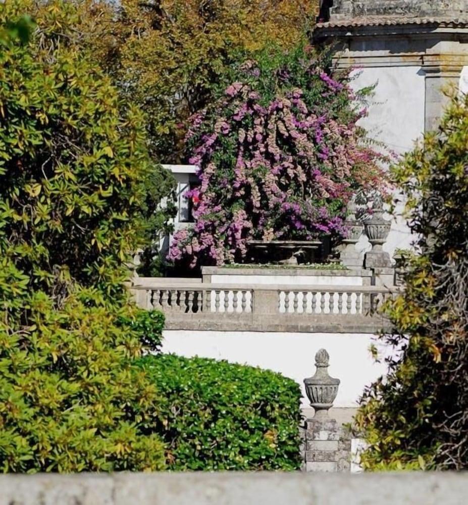surroundings