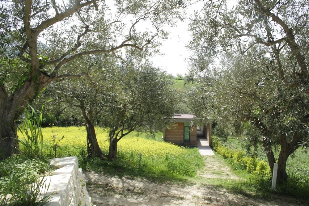 surroundings