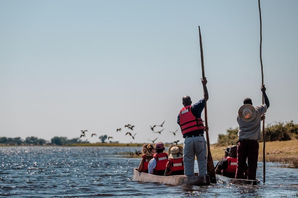 surroundings
