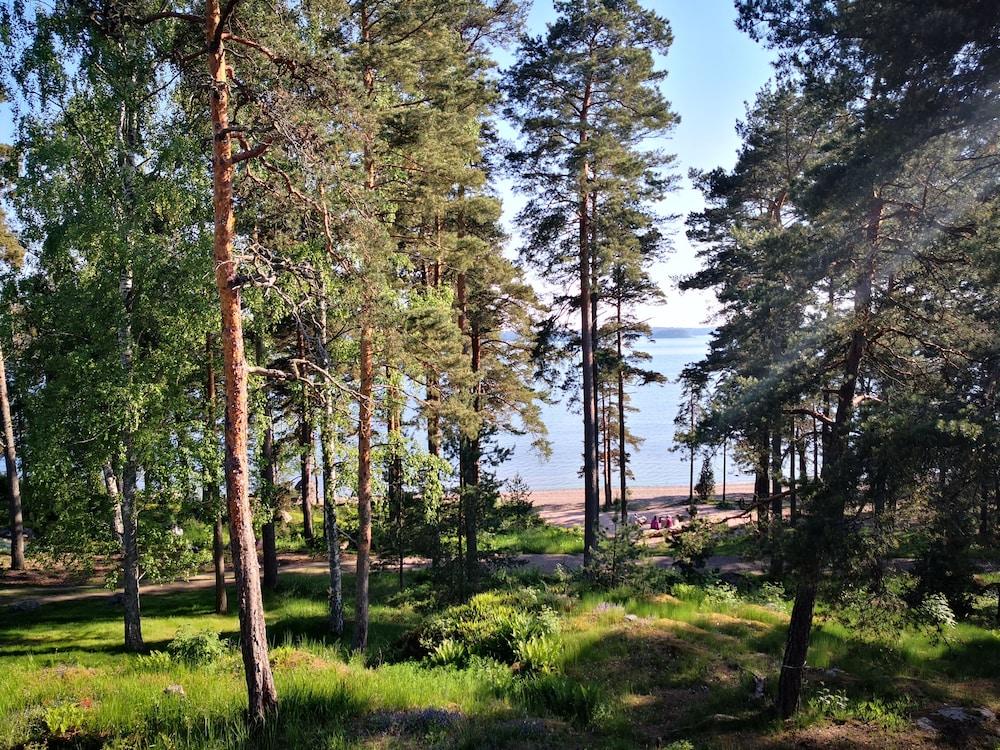 surroundings
