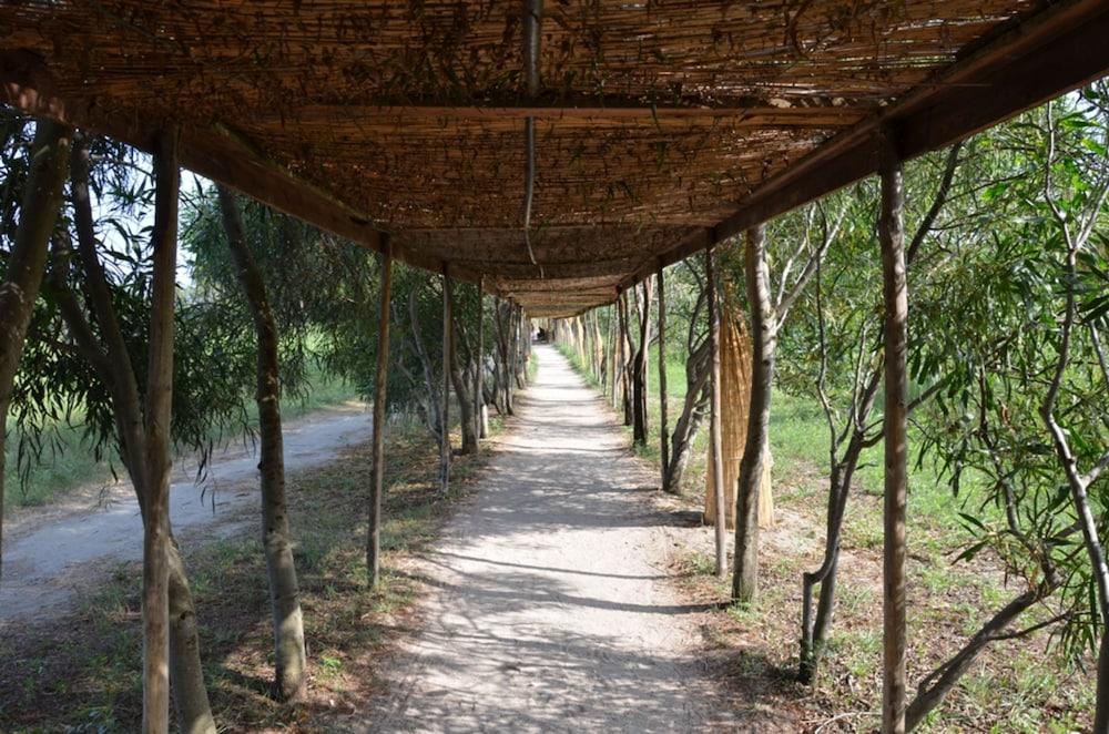 surroundings
