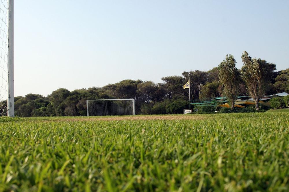 surroundings