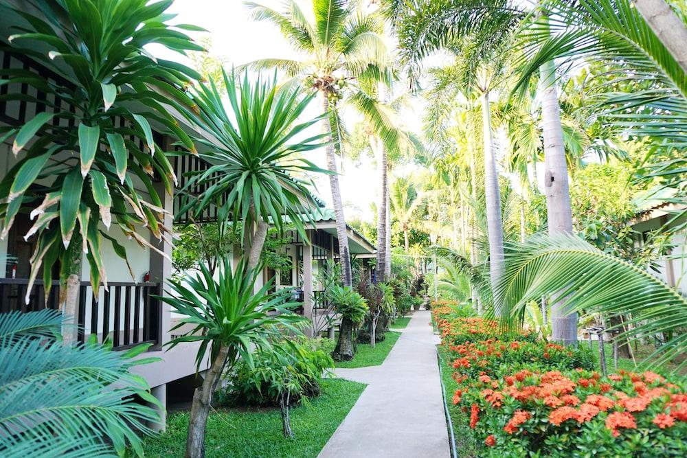 surroundings