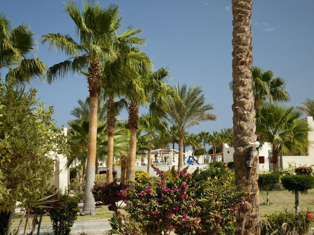surroundings