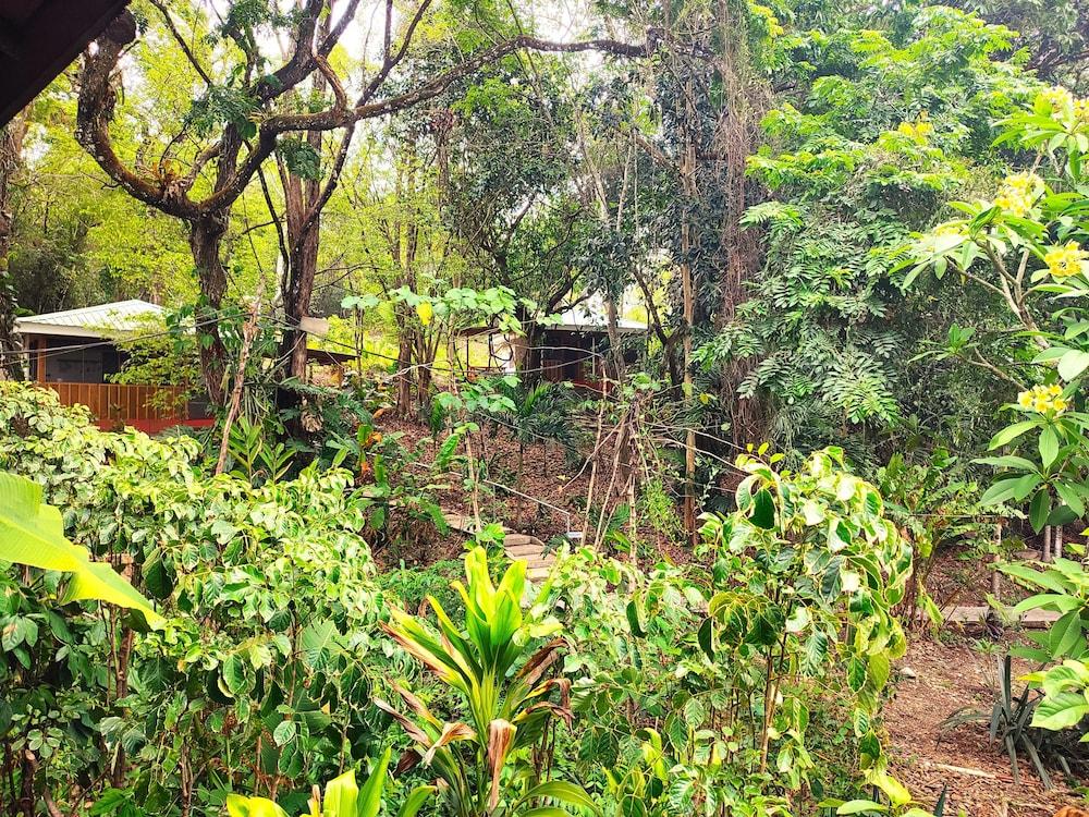 surroundings