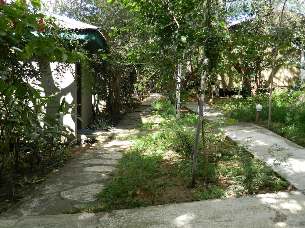 surroundings