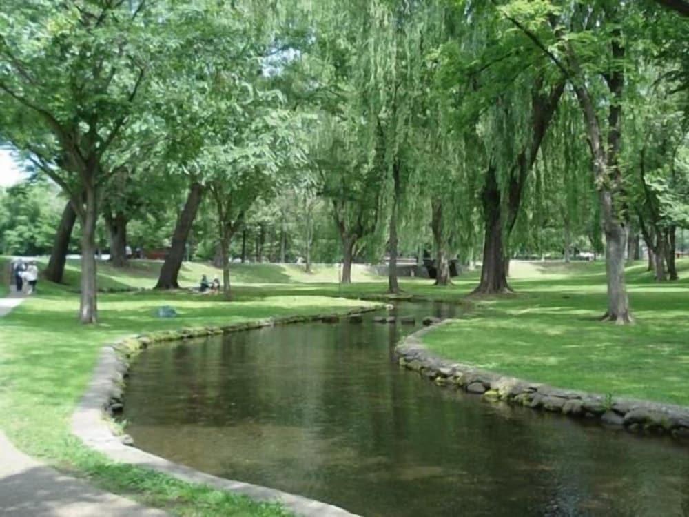 surroundings
