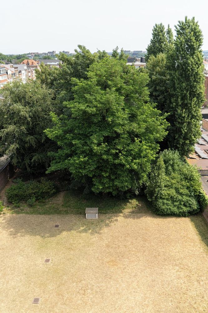 surroundings