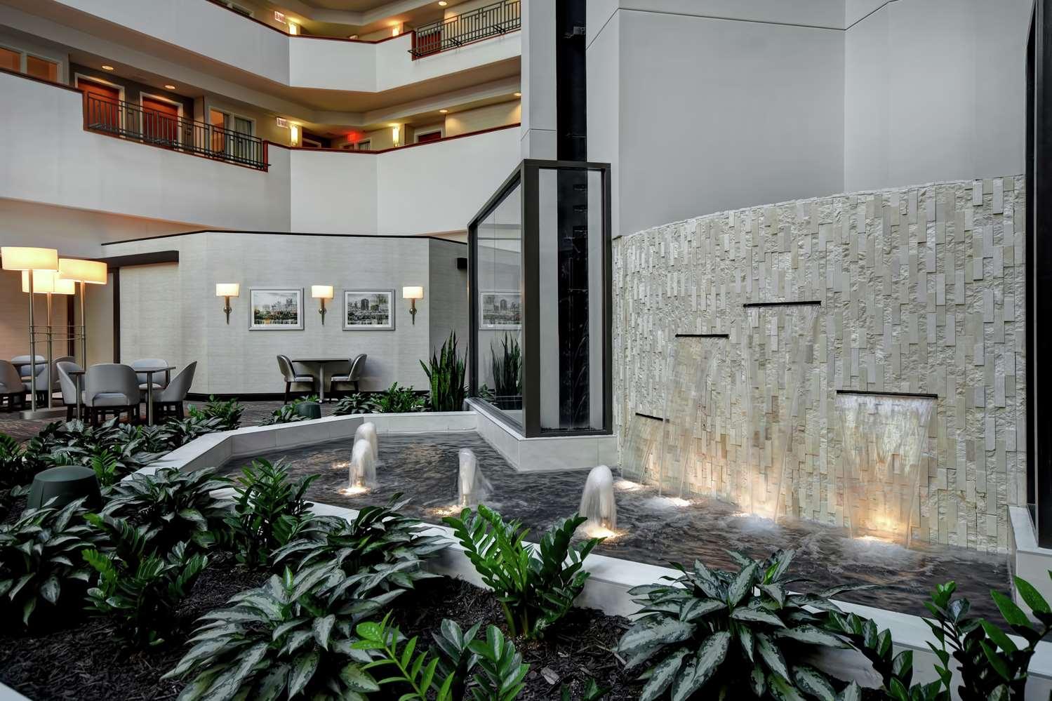 swimming pool spa