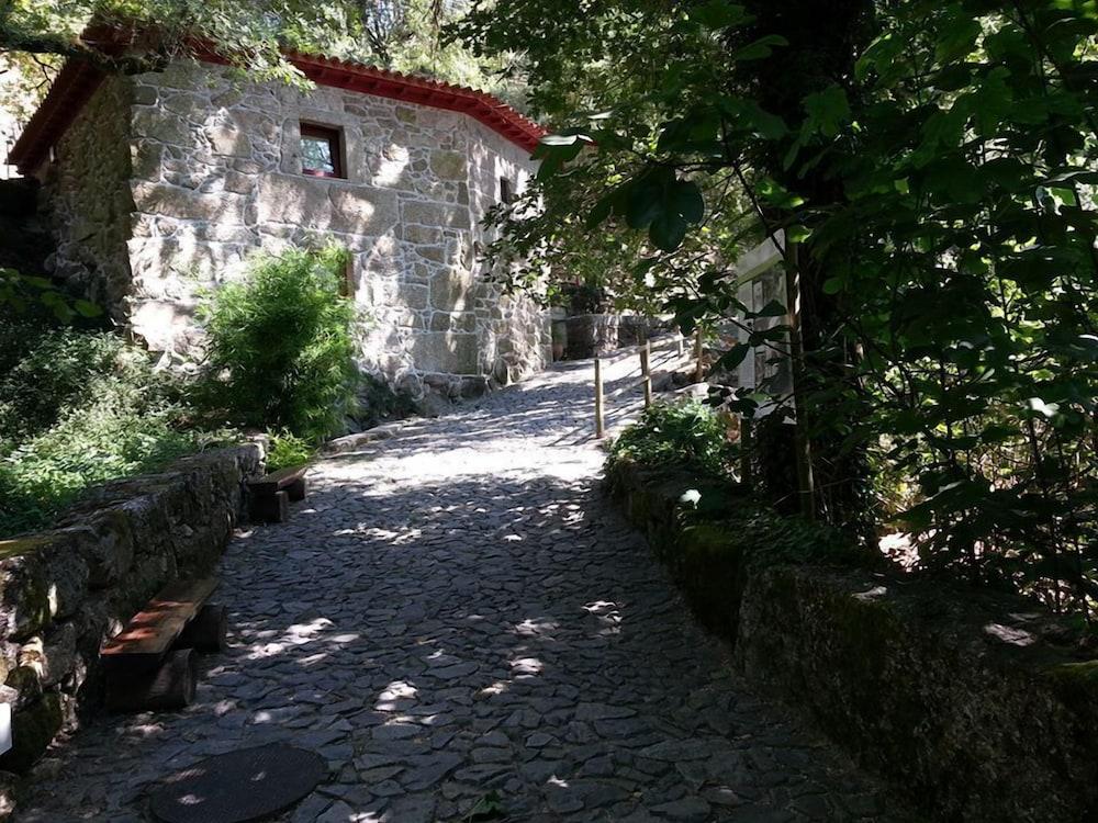 surroundings